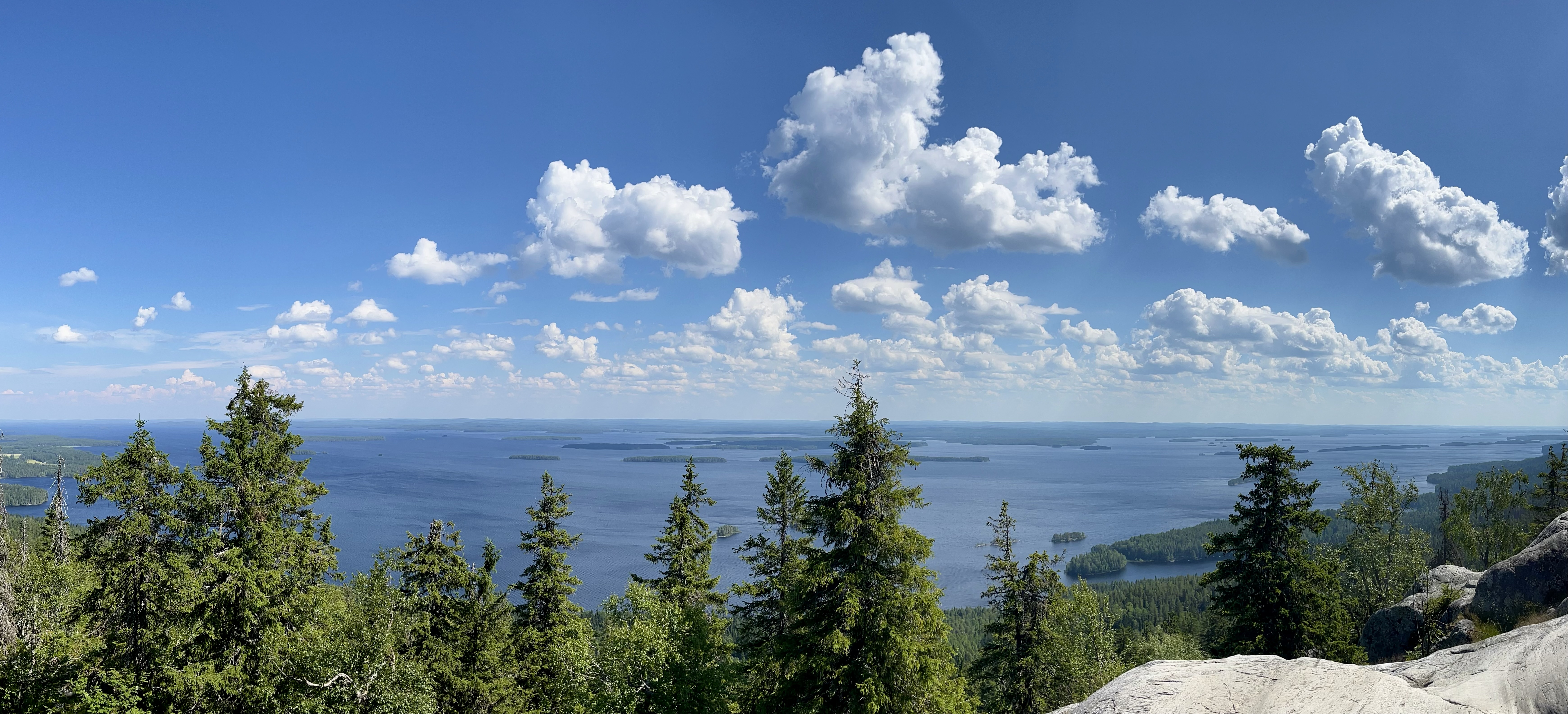 Koli